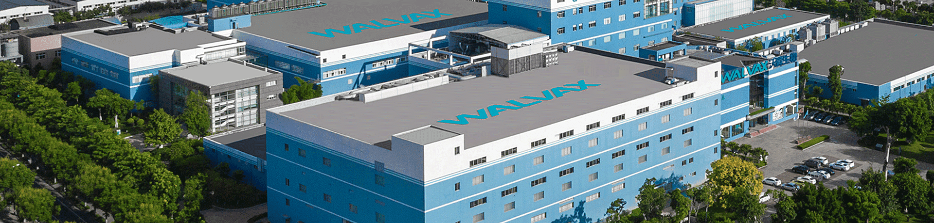 �Ļ�����