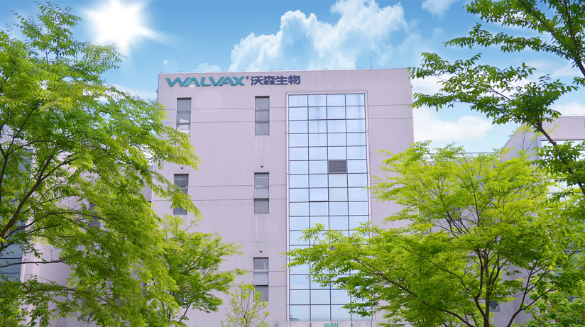 ��ʱ������(�й���)�������ǲ�!